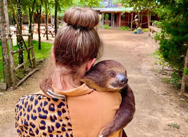 plan-trip-attractions-img Woman Carrying a Sloth at the local zoo