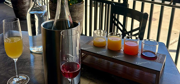 Photo of a wine tasting flight outside the Landon Winery